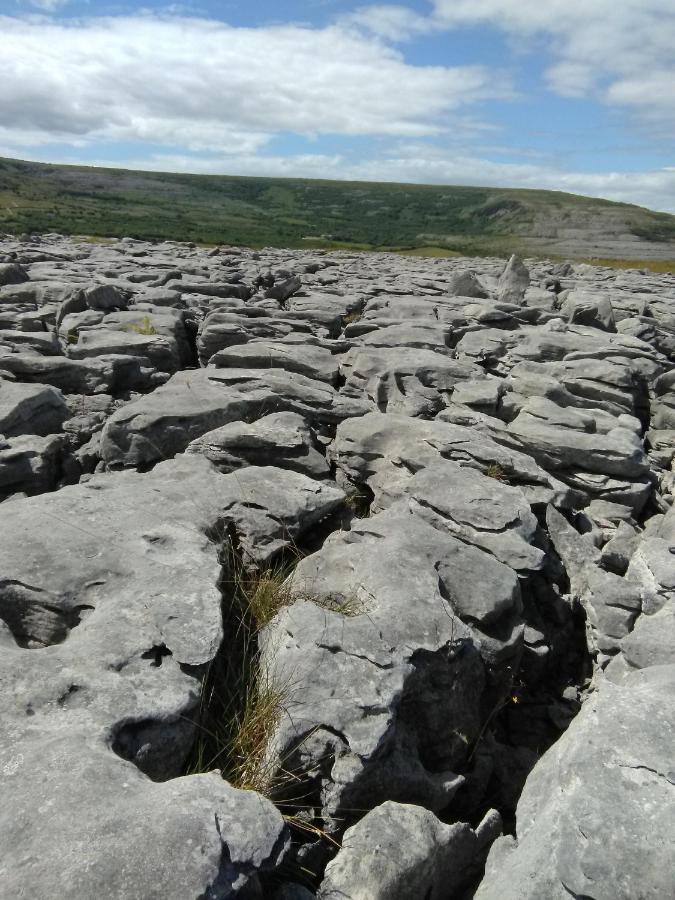 Burren Rock Farmhouse B&B Turlough  Luaran gambar