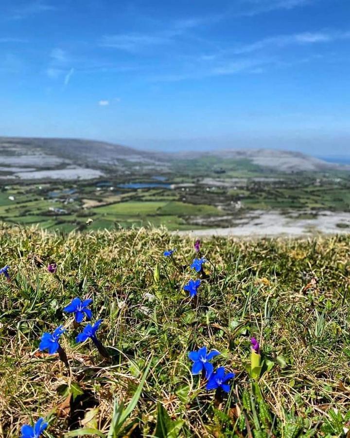 Burren Rock Farmhouse B&B Turlough  Luaran gambar
